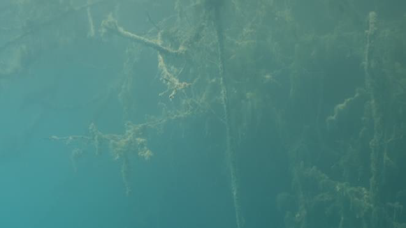 Image d'illustration du site de Raph