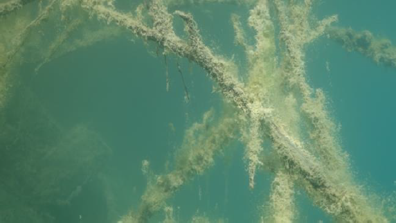 Image d'illustration du site de Raph